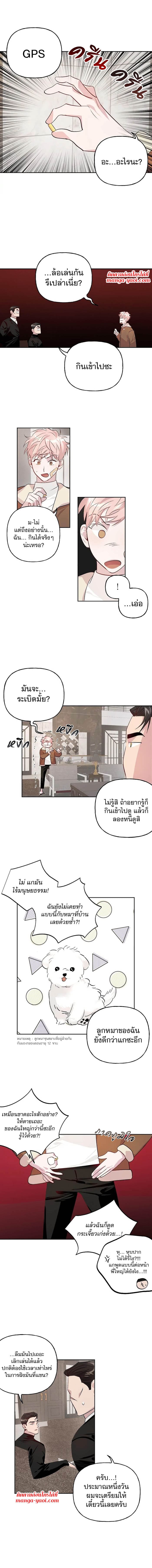 Assorted Wildness ตอนที่ 1004