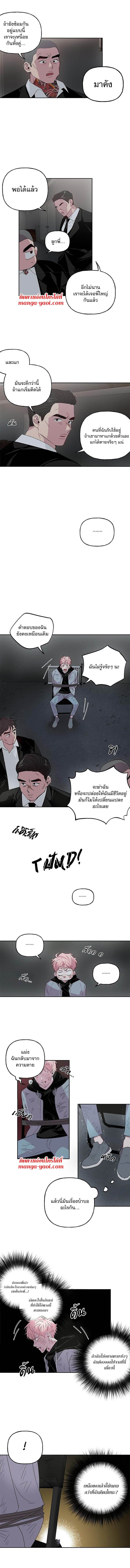 Assorted Wildness ตอนที่ 203