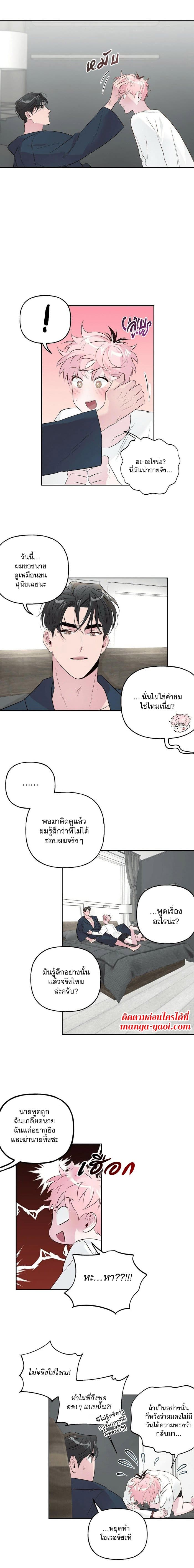 Assorted Wildness ตอนที่ 2103