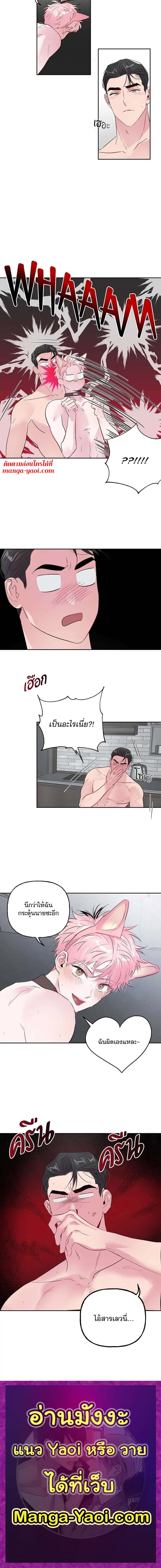 Assorted Wildness ตอนที่ 258