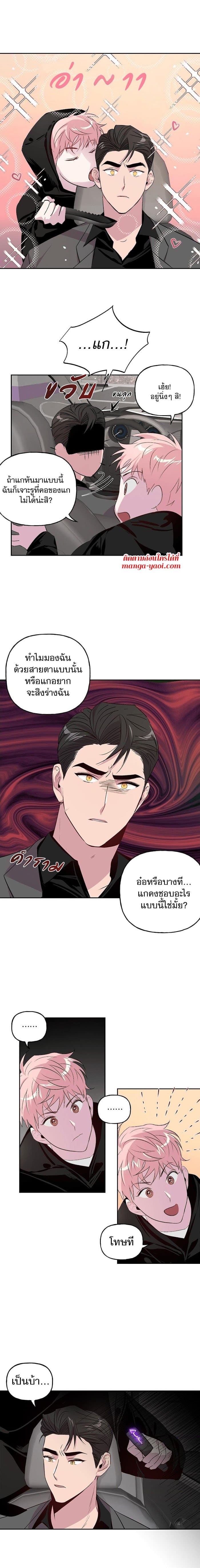 Assorted Wildness ตอนที่ 504