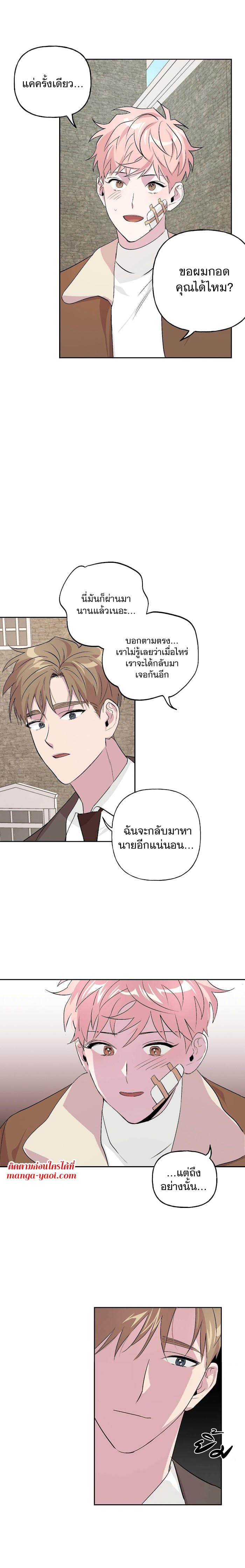 Assorted Wildness ตอนที่ 911