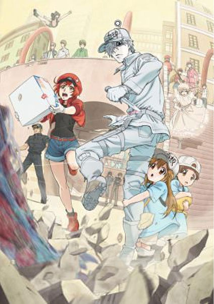 Hataraku Saibou 1 -2