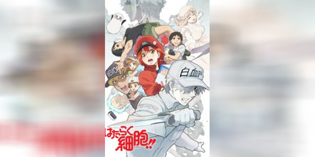 Hataraku Saibou 2 - 1