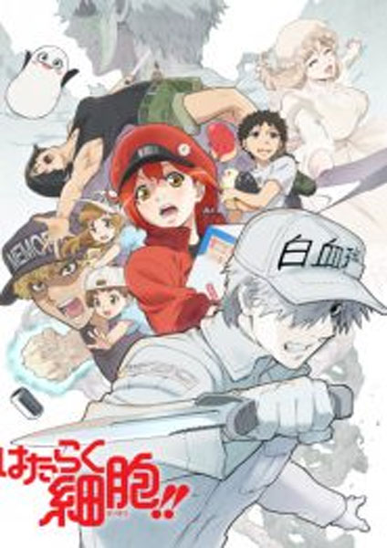 Hataraku Saibou 2 - 2