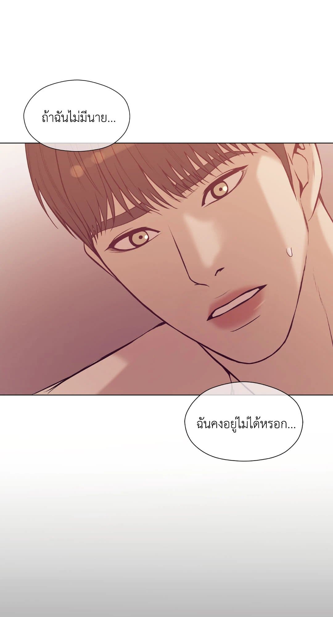 Pearl Boy ตอนที่ 2520