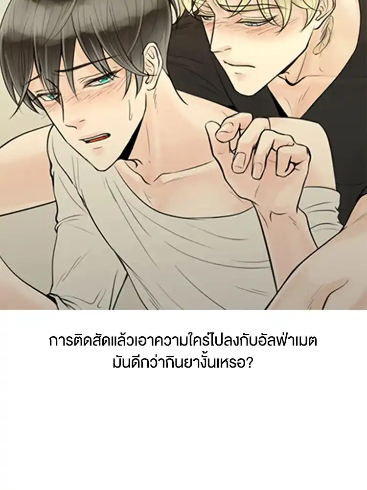 Alpha Mate ตอนที่ 0 (6) 6