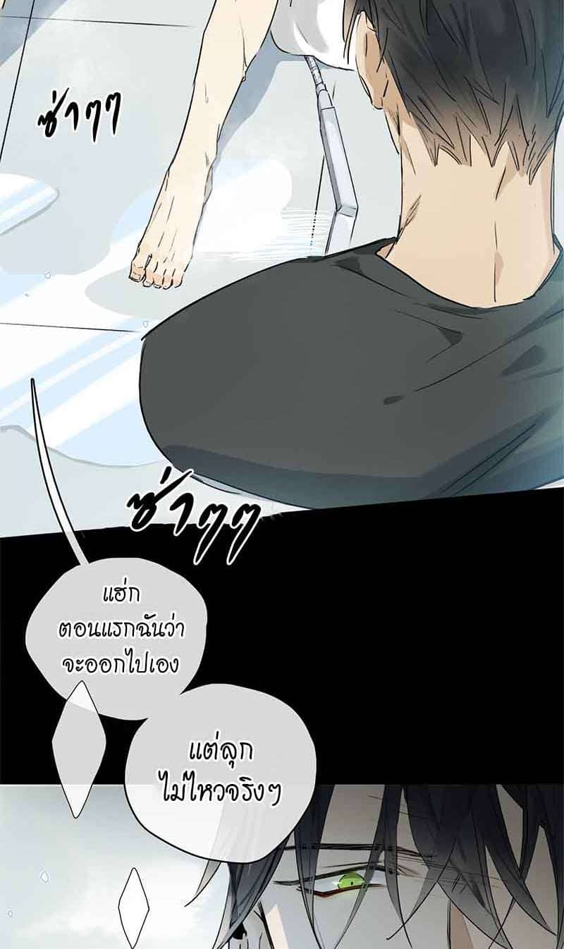 กฎรักแห่งออกัส ตอนที่ 19 (2)