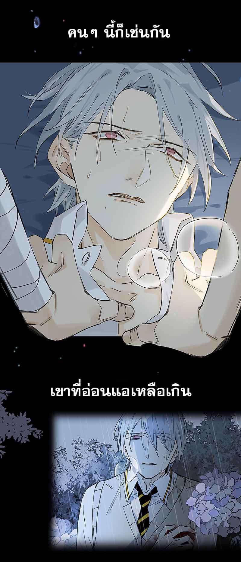 กฎรักแห่งออกัส ตอนที่ 50 (6)