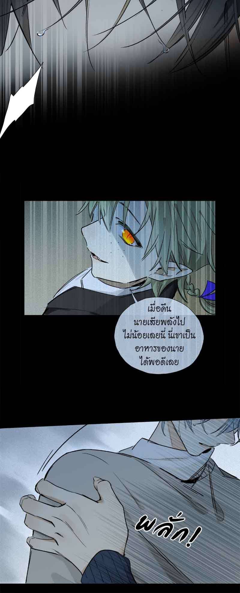 กฎรักแห่งออกัส ตอนที่ 64 (11)