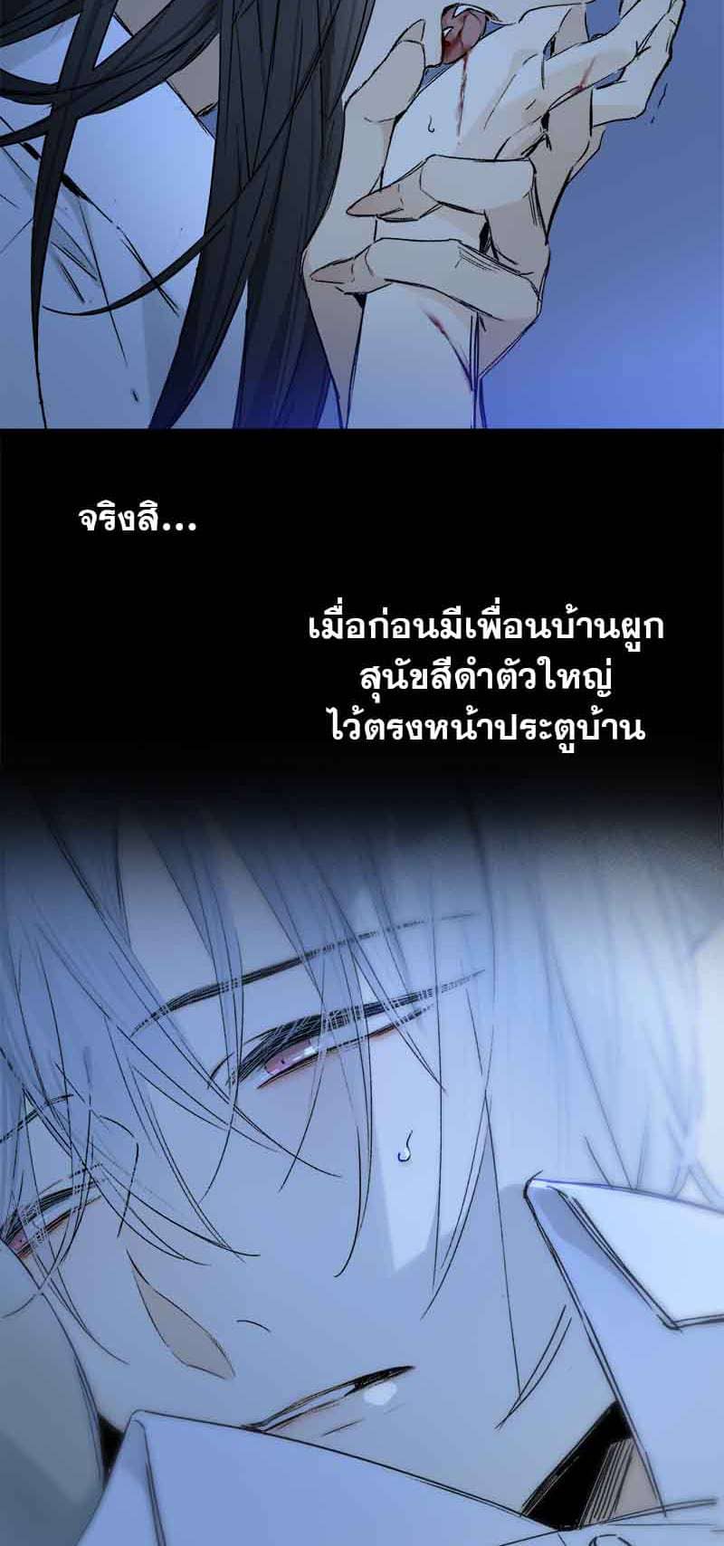 กฎรักแห่งออกัส ตอนที่ 81 (4)