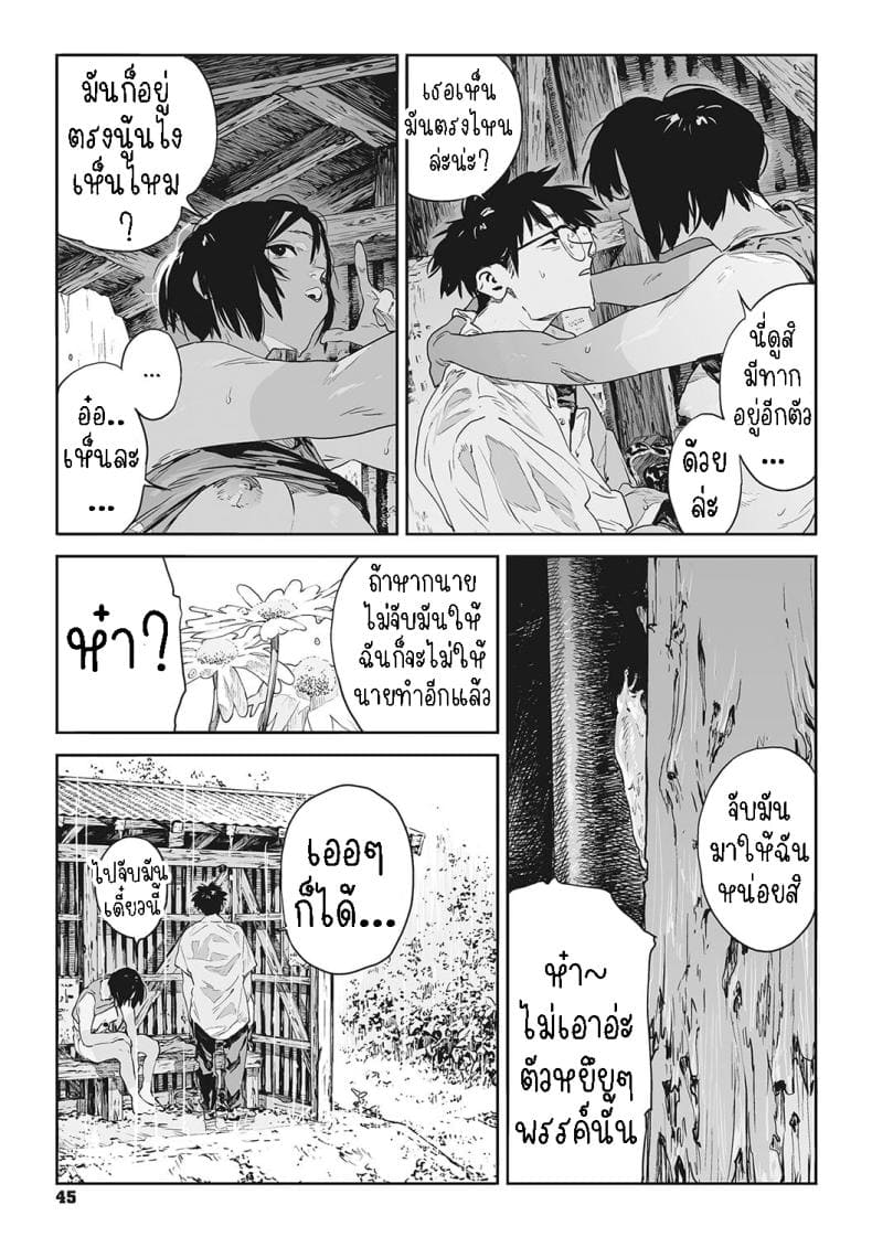 ทาก (41)