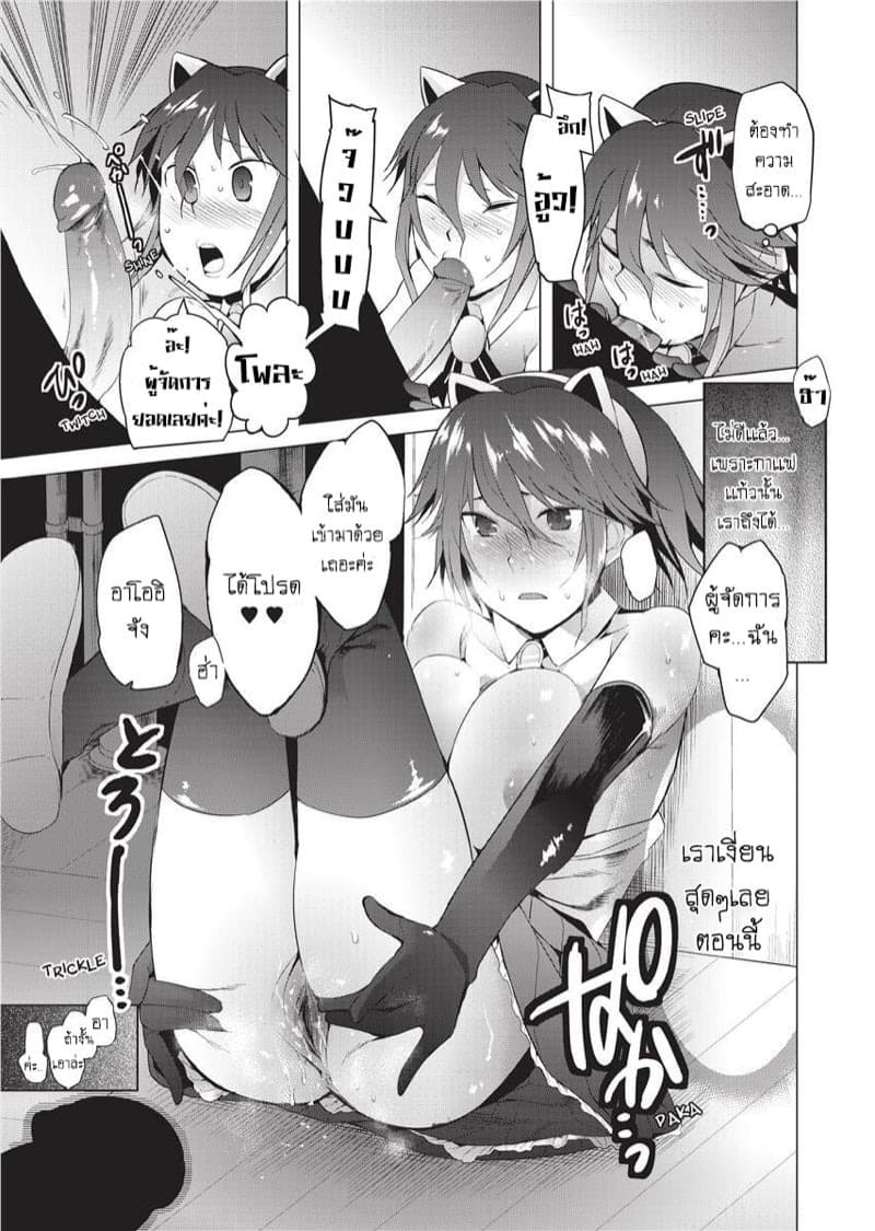 อะไรอยู่ในกาเเฟ 09