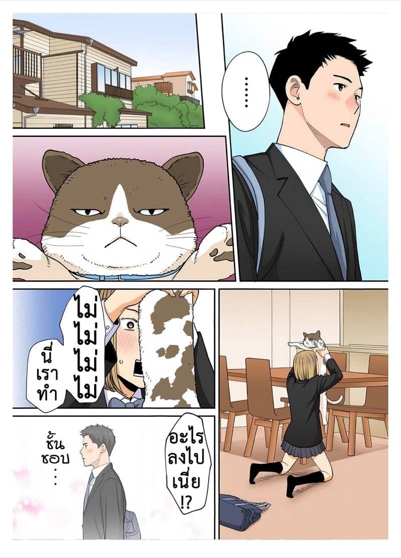 ความสัมพันธ์พันธนาการ 3.1 23