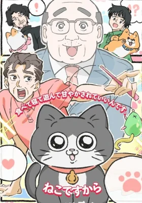 Neko ni Tensei Shita Oji san เกิดชาตินี้ลุงต้องเมี้ยว พากย์ไทย ดูอนิเมะฟรี อัปเดตล่าสุด คุณภาพคมชัดทุกตอน