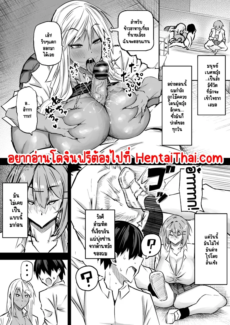 เกลสาวอกใหญ่ 3 01 เกลสาวอกใหญ่ 3 01