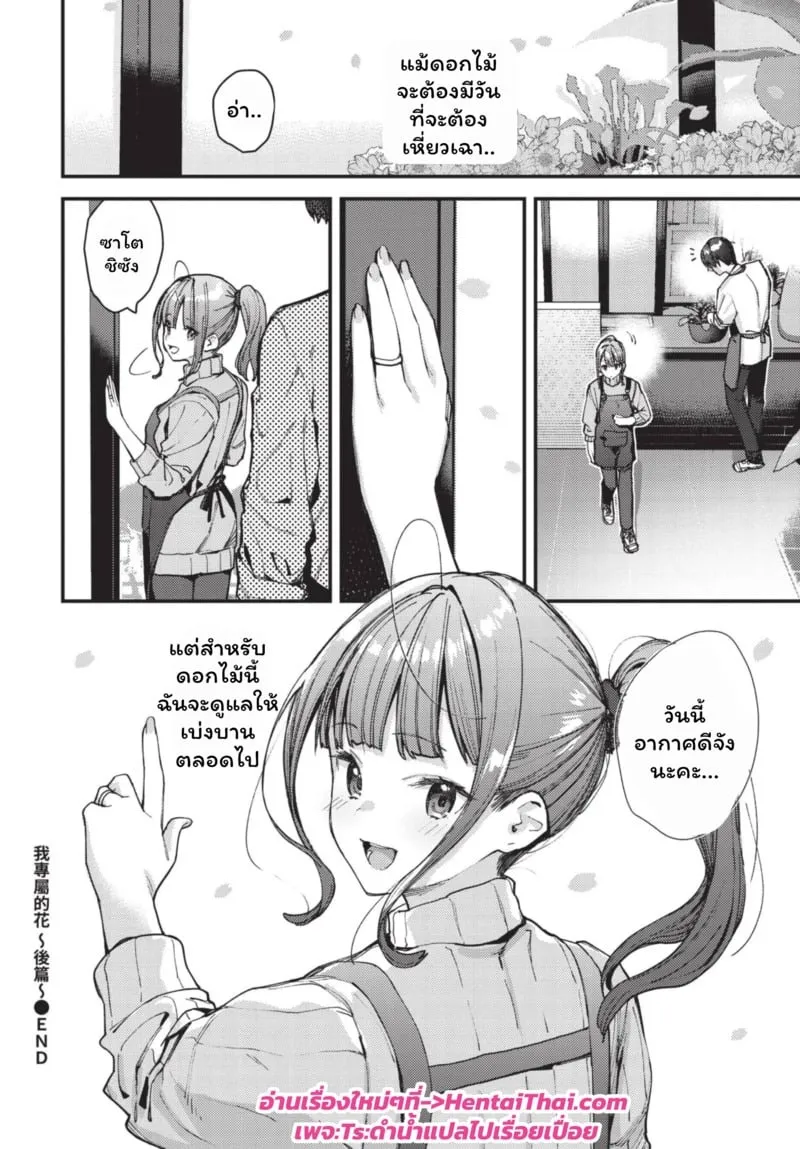 ดอกไม้ผลิบานแห่งรัก 3 30 ดอกไม้ผลิบานแห่งรัก 3 30