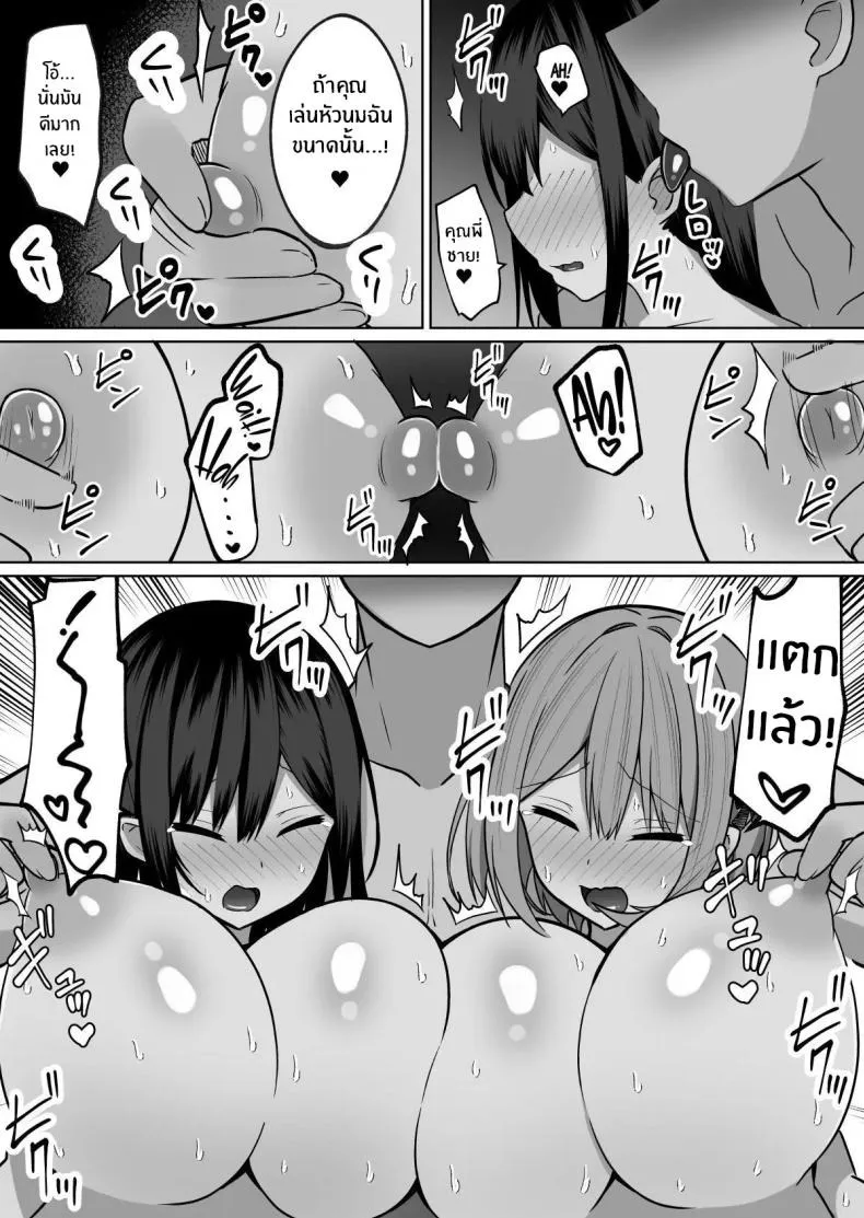 วิธีการฝึกสองพี่น้อง 11