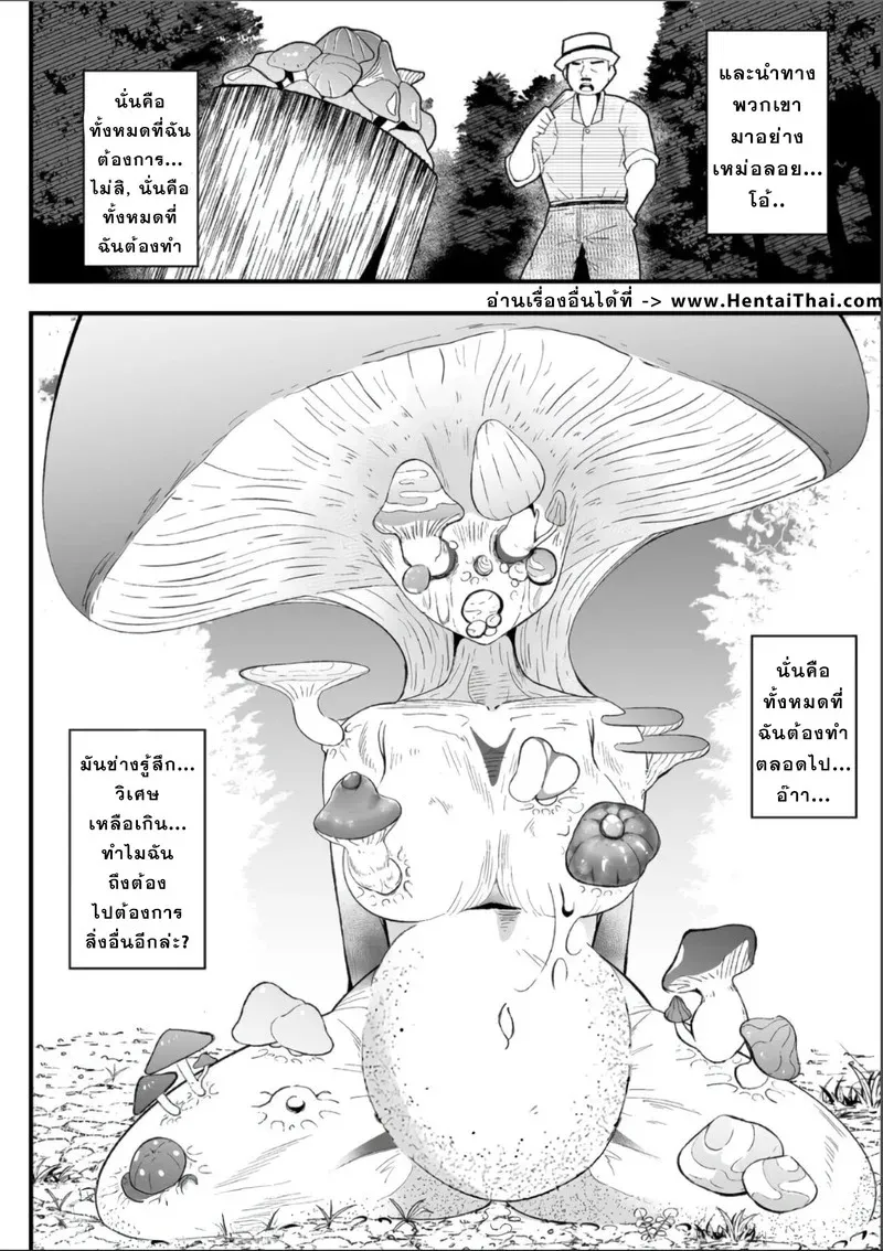 เควสต์เก็บเห็ด 16 เควสต์เก็บเห็ด 16